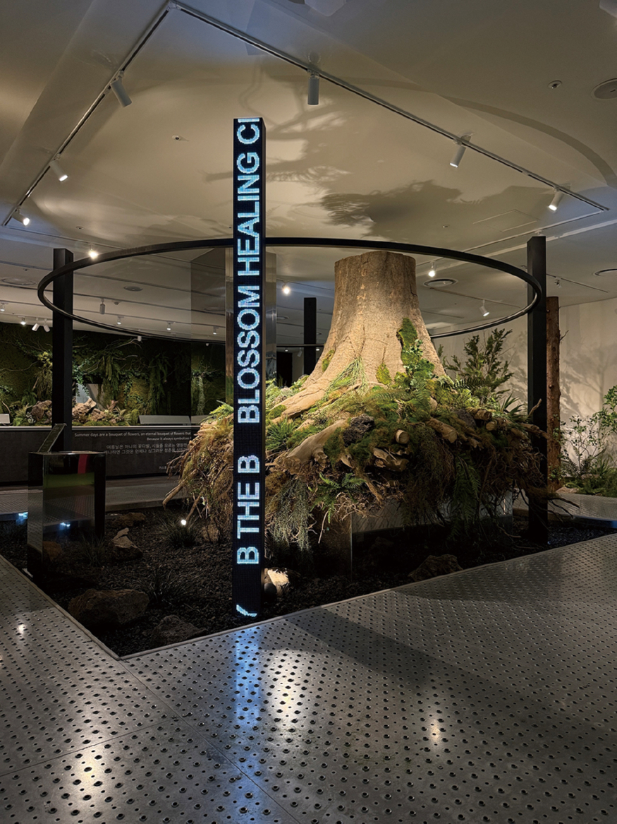 3_라이프스타일존 (3).jpg